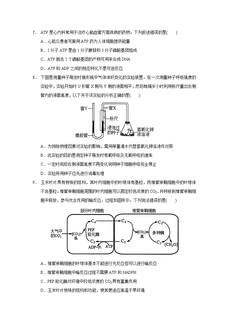 广东省实验中学2022-2023学年高三上学期第一次阶段考试生物试题（含答案）03