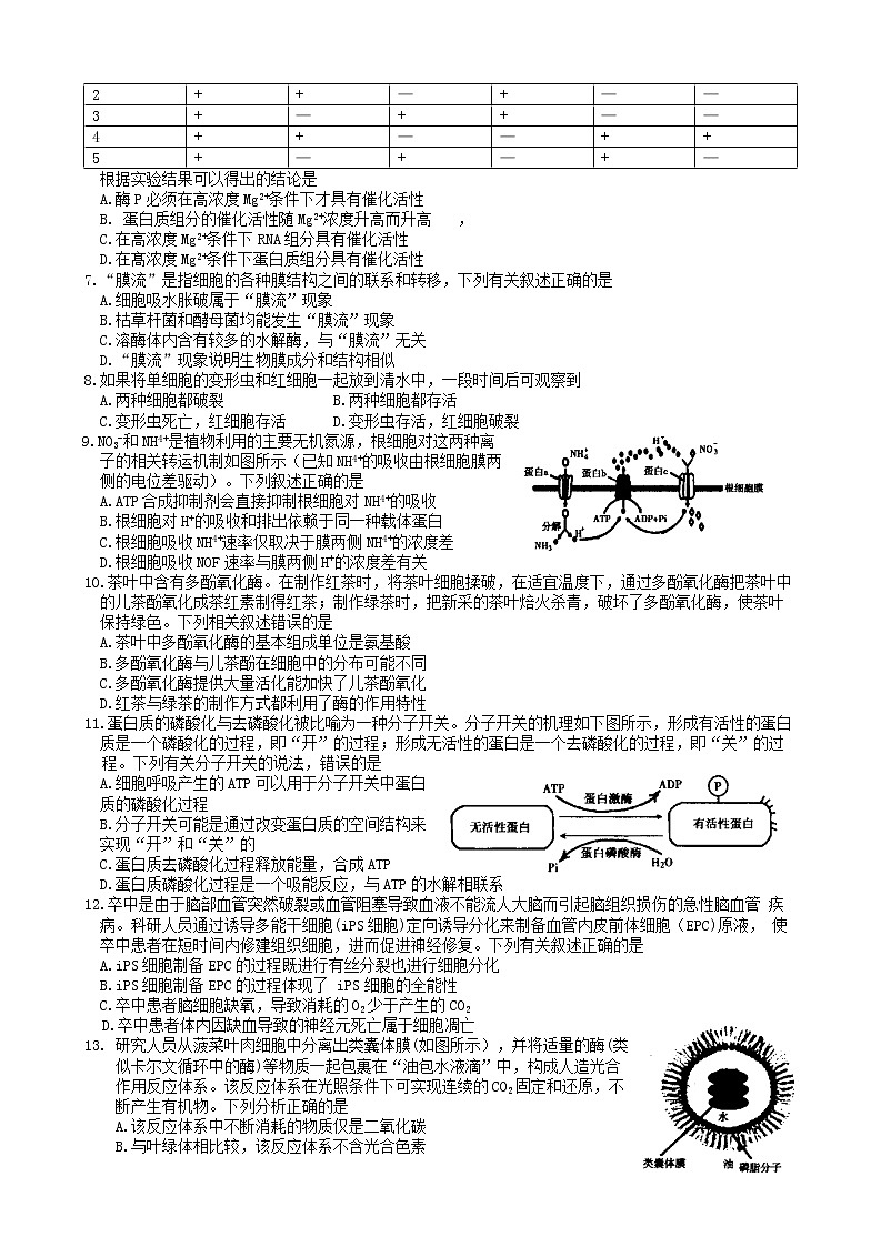 河南省信阳市普通高中2022-2023学年高三上学期第一次教学质量检测生物试题（含答案）02