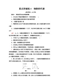 人教版 (2019)必修1《分子与细胞》第5章 细胞的能量供应和利用综合与测试课后练习题