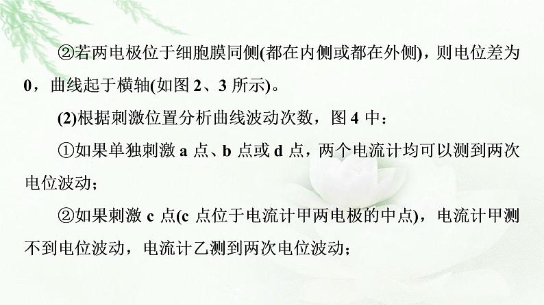 人教版高中生物选择性必修1第2章素能提升课兴奋传导和传递课件03