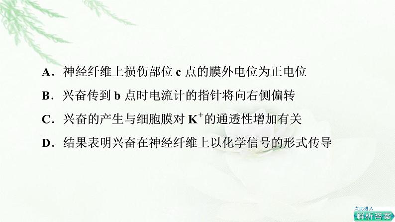 人教版高中生物选择性必修1第2章素能提升课兴奋传导和传递课件07