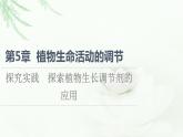 人教版高中生物选择性必修1第5章探究实践探索植物生长调节剂的应用课件