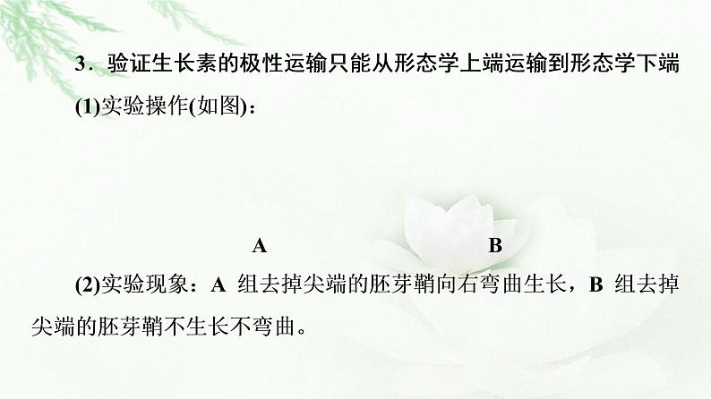 人教版高中生物选择性必修1第5章素能提升课与生长素有关的实验设计和分析课件第5页