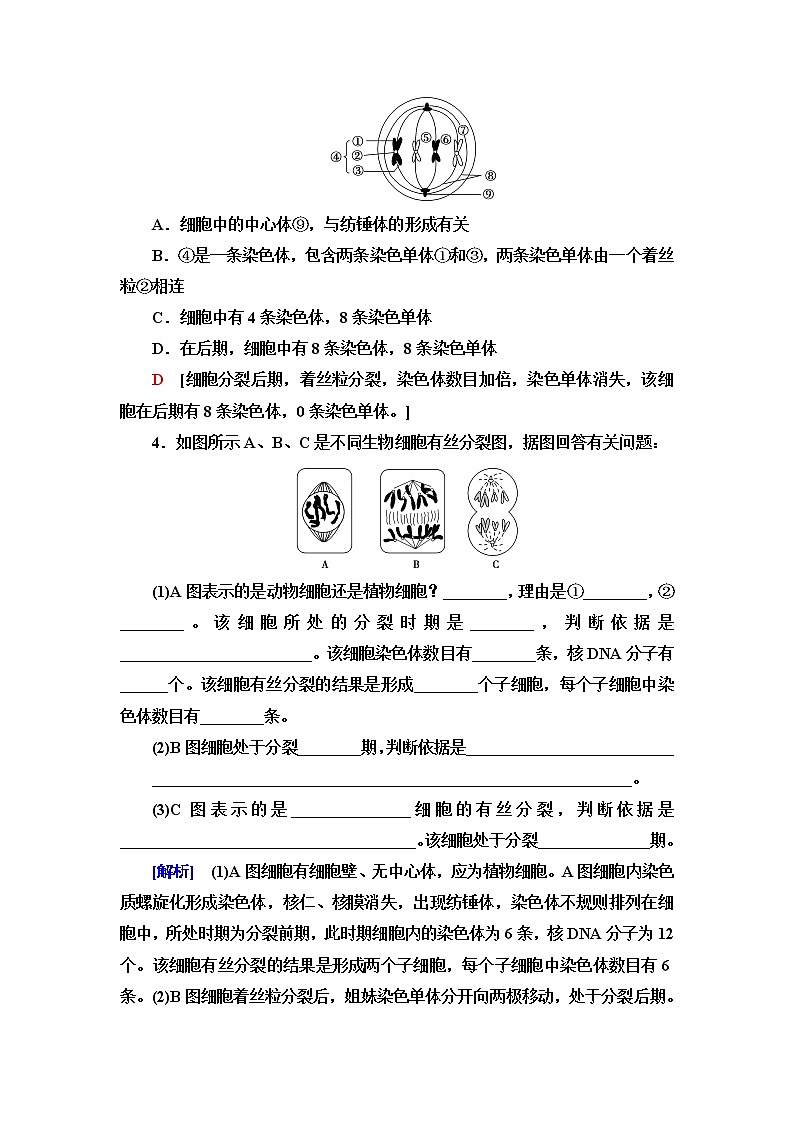 人教版高中生物必修1课后素养落实24动物细胞的有丝分裂、观察根尖分生区组织细胞的有丝分裂含答案 试卷02