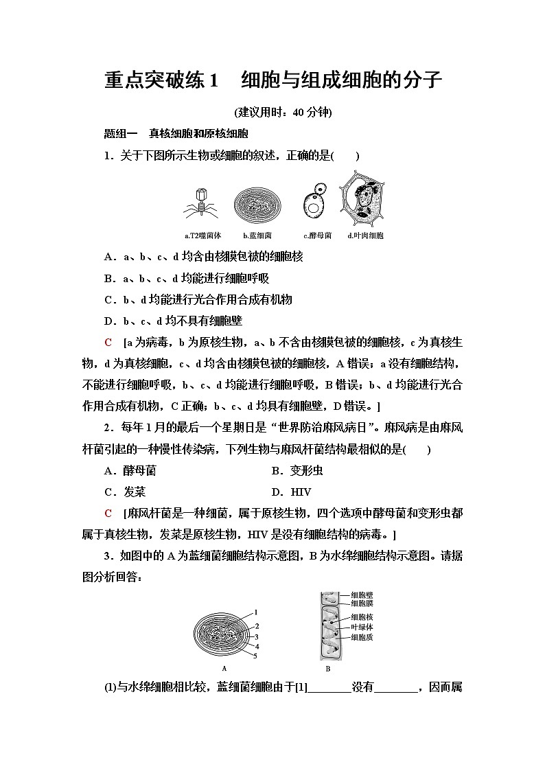 人教版高中生物必修1重点突破练1细胞与组成细胞的分子含答案01