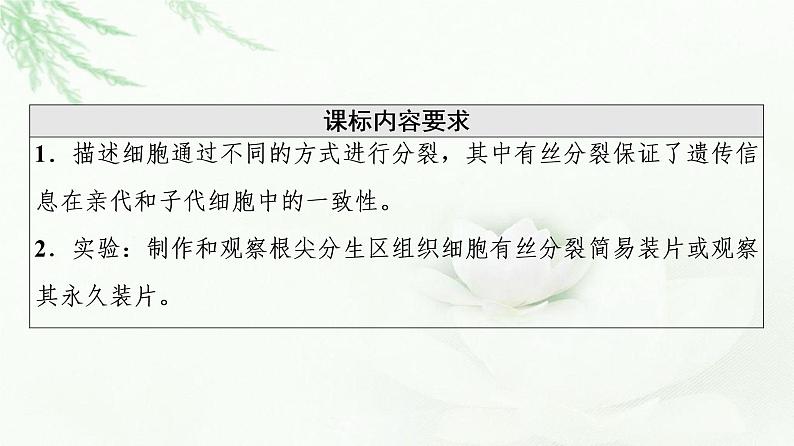 人教版高中生物必修1第6章第1节第2课时动物细胞的有丝分裂、观察根尖分生区组织细胞的有丝分裂课件02