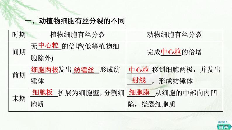 人教版高中生物必修1第6章第1节第2课时动物细胞的有丝分裂、观察根尖分生区组织细胞的有丝分裂课件05