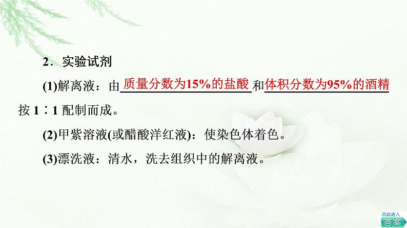 人教版高中生物必修1第6章探究实践观察根尖分生区组织细胞的有丝分裂课件第4页