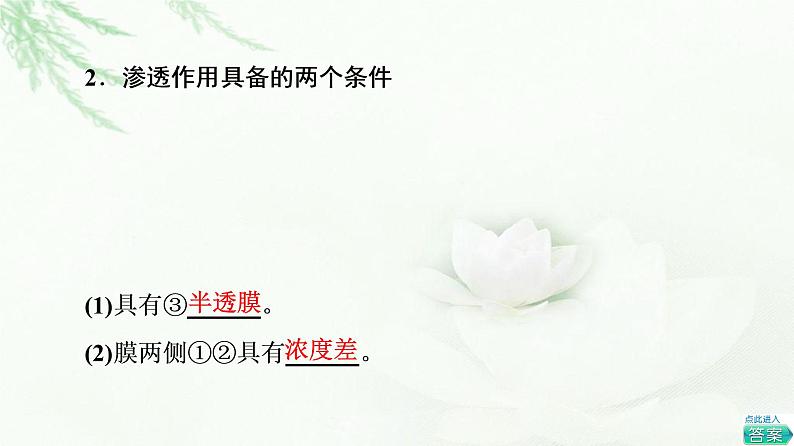 人教版高中生物必修1第4章第1节第1课时细胞吸水和失水课件05