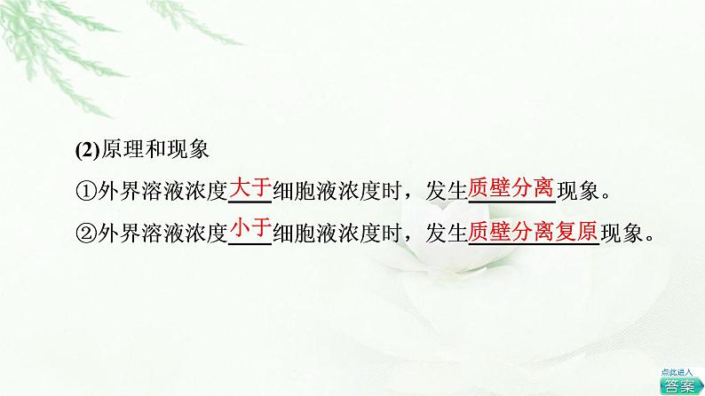 人教版高中生物必修1第4章第1节第1课时细胞吸水和失水课件08