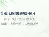 人教版高中生物必修1第5章第3节第1课时细胞呼吸的方式及有氧呼吸课件