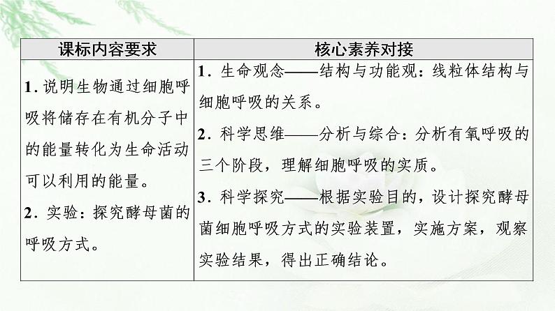 人教版高中生物必修1第5章第3节第1课时细胞呼吸的方式及有氧呼吸课件02