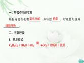 人教版高中生物必修1第5章第3节第1课时细胞呼吸的方式及有氧呼吸课件