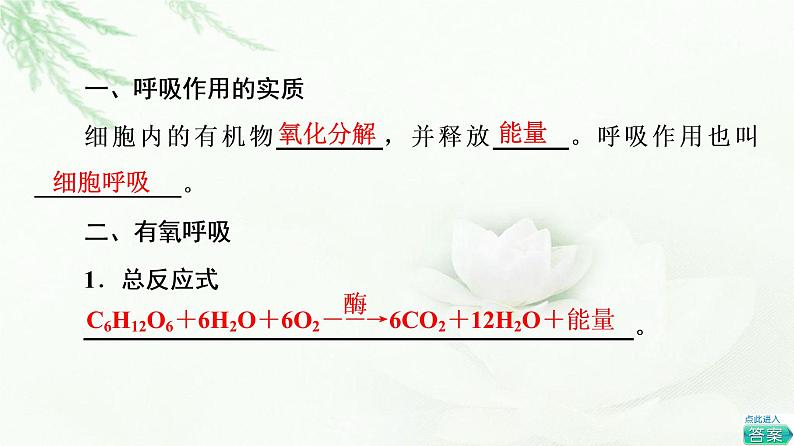 人教版高中生物必修1第5章第3节第1课时细胞呼吸的方式及有氧呼吸课件04