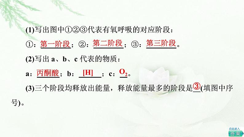 人教版高中生物必修1第5章第3节第1课时细胞呼吸的方式及有氧呼吸课件07