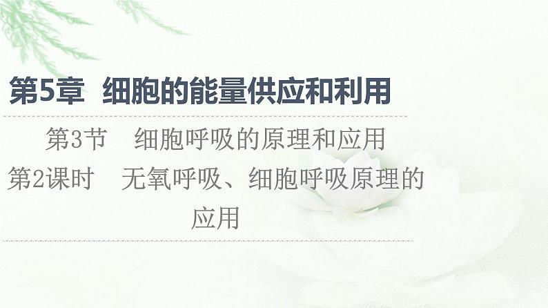 人教版高中生物必修1第5章第3节第2课时无氧呼吸、细胞呼吸原理的应用课件第1页