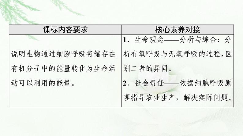 人教版高中生物必修1第5章第3节第2课时无氧呼吸、细胞呼吸原理的应用课件第2页