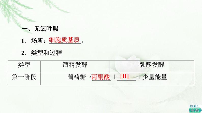 人教版高中生物必修1第5章第3节第2课时无氧呼吸、细胞呼吸原理的应用课件第4页