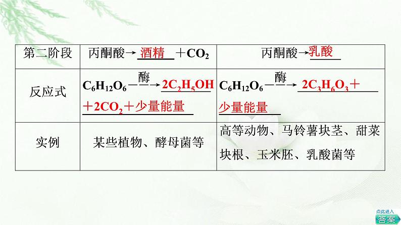 人教版高中生物必修1第5章第3节第2课时无氧呼吸、细胞呼吸原理的应用课件第5页