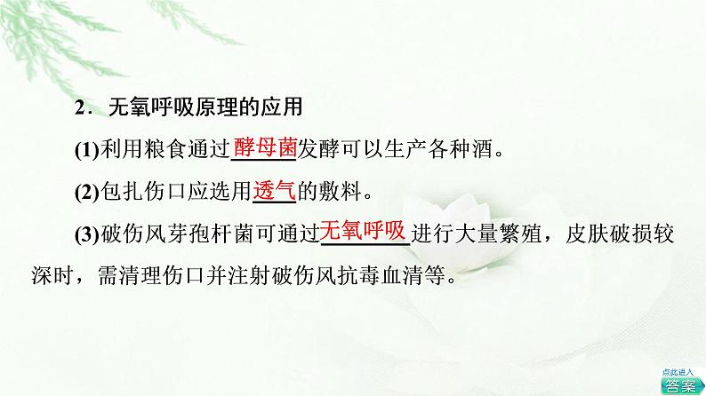 人教版高中生物必修1第5章第3节第2课时无氧呼吸、细胞呼吸原理的应用课件第8页