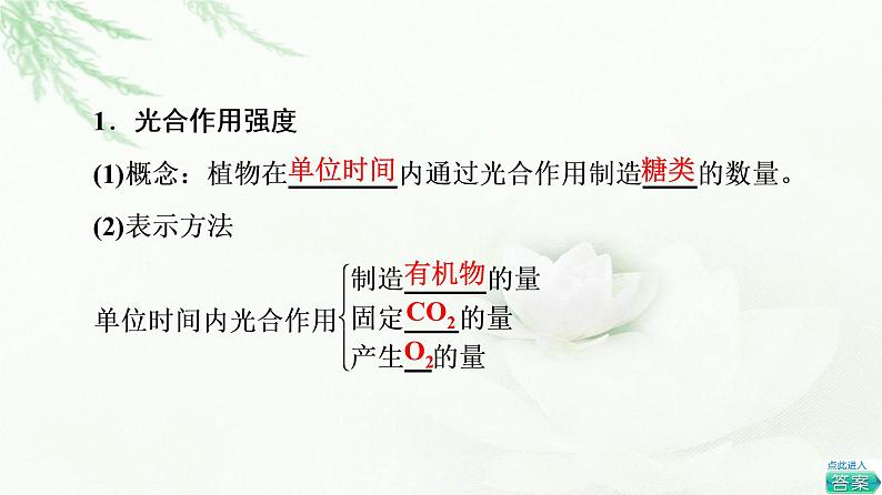 人教版高中生物必修1第5章第4节第3课时光合作用原理的应用课件第4页