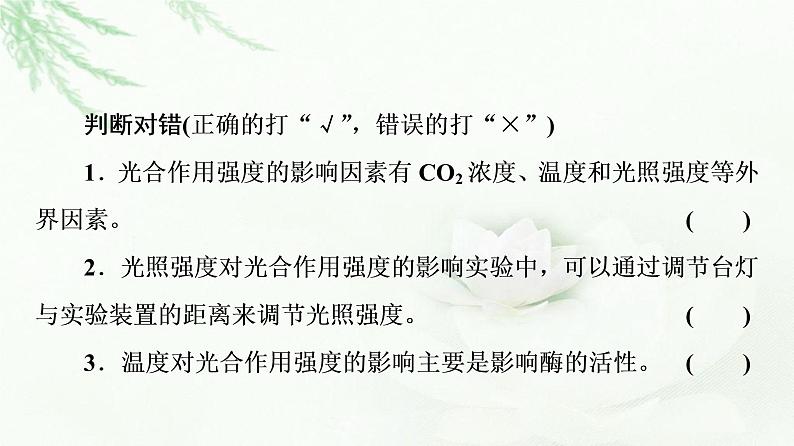 人教版高中生物必修1第5章第4节第3课时光合作用原理的应用课件第7页