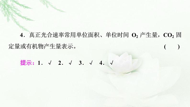 人教版高中生物必修1第5章第4节第3课时光合作用原理的应用课件第8页