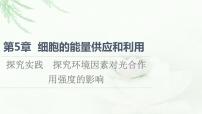 生物必修1《分子与细胞》第5章 细胞的能量供应和利用综合与测试背景图课件ppt