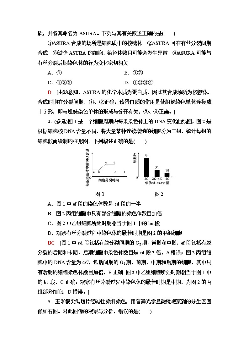 苏教版高中生物必修1重点突破练6含答案第2页