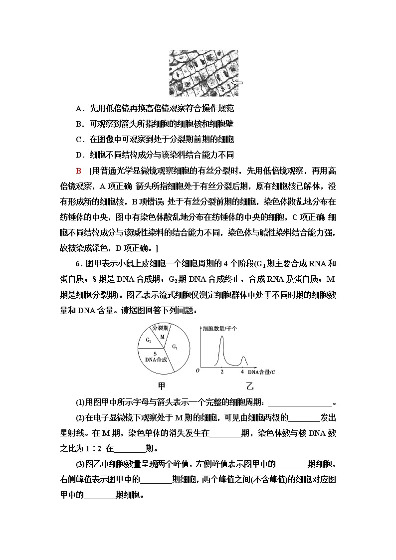 苏教版高中生物必修1重点突破练6含答案第3页