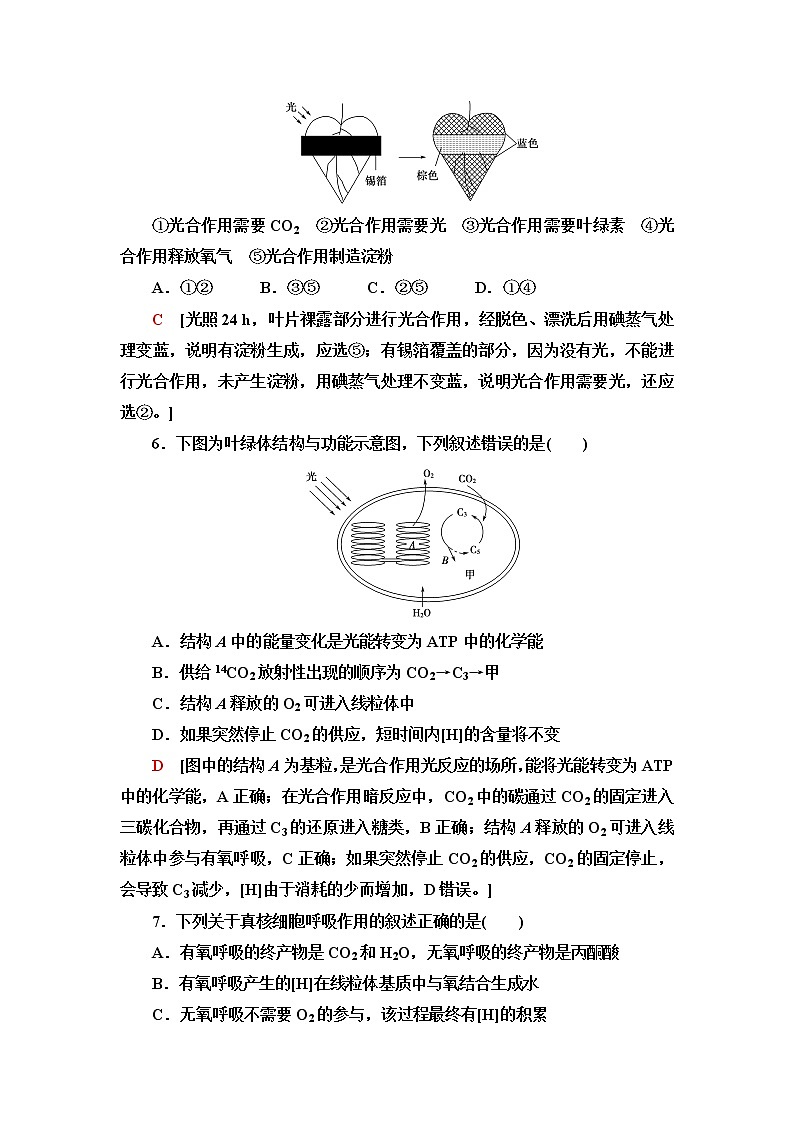 苏教版高中生物必修1章末综合测评3(第三章)含答案03