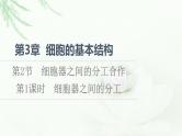 人教版高中生物必修1第3章第2节第1课时细胞器之间的分工课件