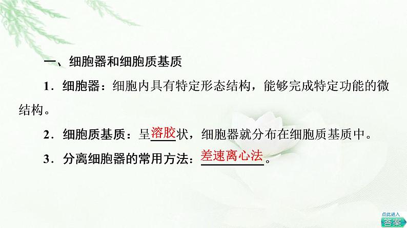 人教版高中生物必修1第3章第2节第1课时细胞器之间的分工课件04