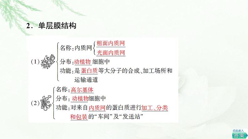 人教版高中生物必修1第3章第2节第1课时细胞器之间的分工课件06