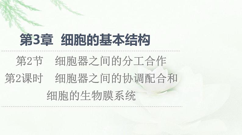 人教版高中生物必修1第3章第2节第2课时细胞器之间的协调配合和细胞的生物膜系统课件第1页