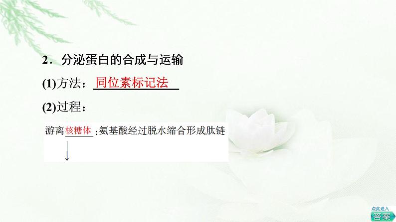 人教版高中生物必修1第3章第2节第2课时细胞器之间的协调配合和细胞的生物膜系统课件第5页