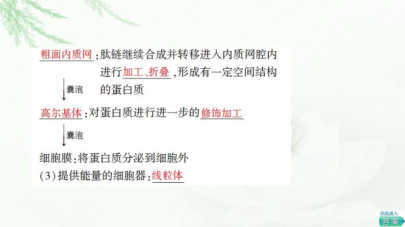 人教版高中生物必修1第3章第2节第2课时细胞器之间的协调配合和细胞的生物膜系统课件第6页