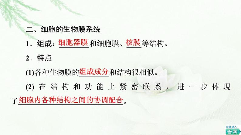 人教版高中生物必修1第3章第2节第2课时细胞器之间的协调配合和细胞的生物膜系统课件第7页