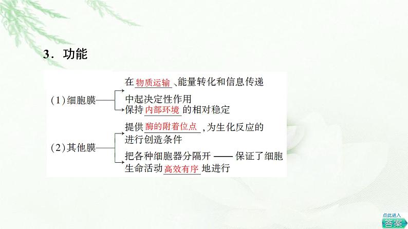 人教版高中生物必修1第3章第2节第2课时细胞器之间的协调配合和细胞的生物膜系统课件第8页