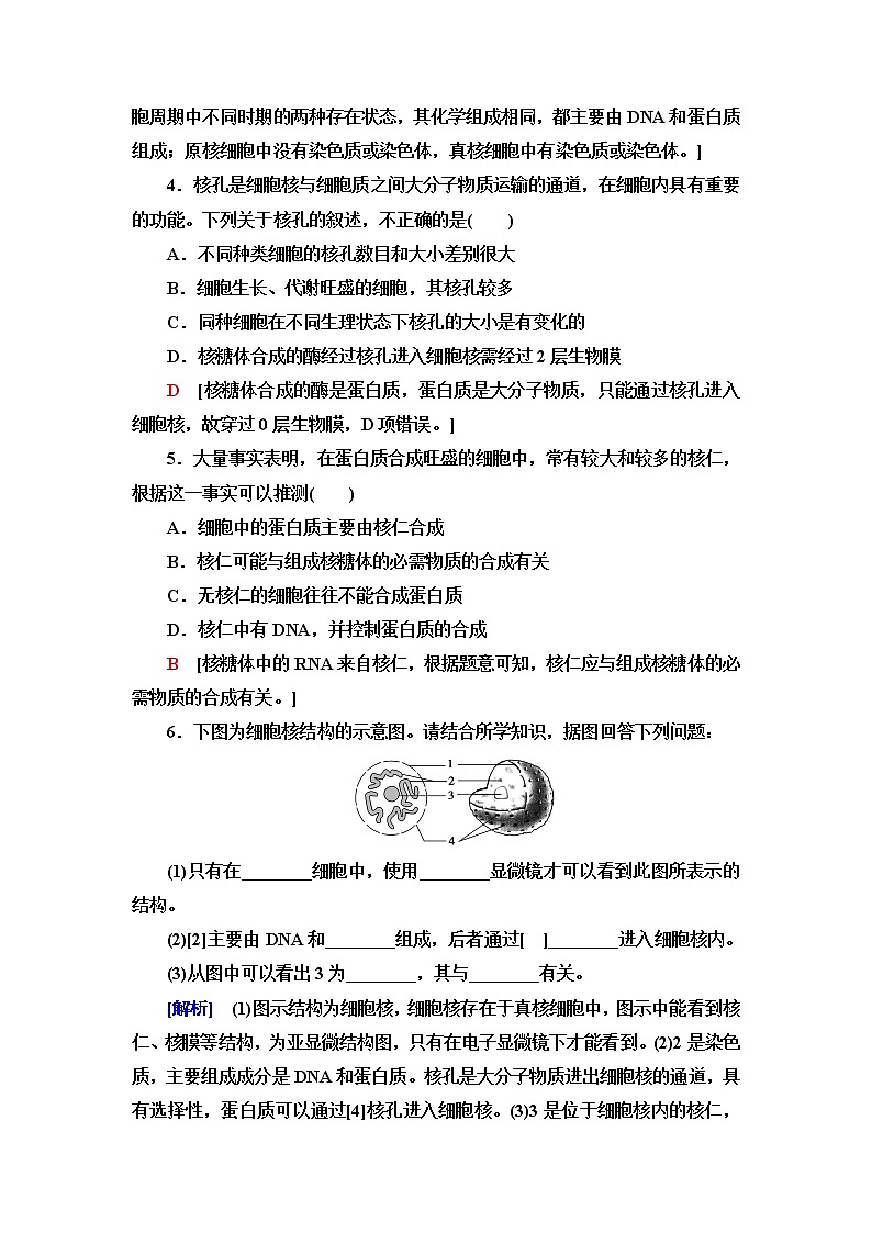苏教版高中生物必修1课后素养落实8遗传信息主要储存在细胞核中含答案第2页