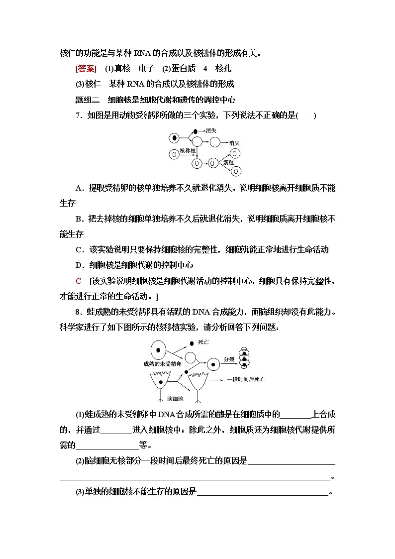 苏教版高中生物必修1课后素养落实8遗传信息主要储存在细胞核中含答案第3页