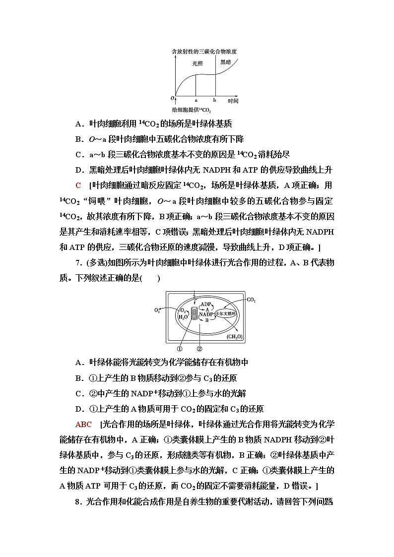 苏教版高中生物必修1课后素养落实15绿色植物光合作用的过程含答案 试卷03