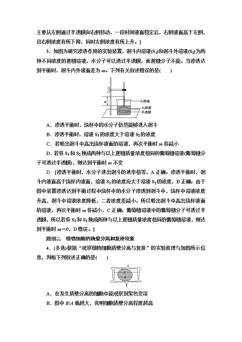 苏教版高中生物必修1重点突破练3含答案第2页