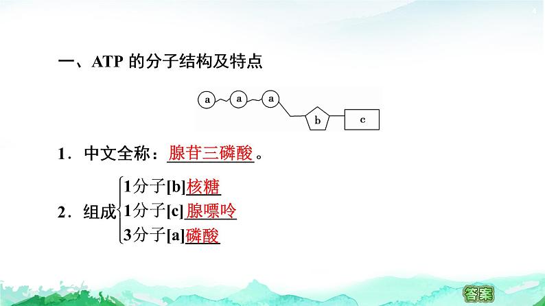 苏教版高中生物必修1第3章第1节第2课时ATP是驱动细胞生命活动的直接能源物质课件04