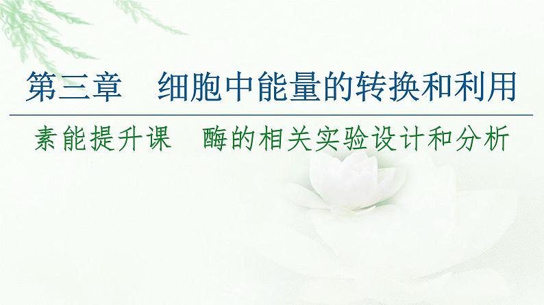 苏教版高中生物必修1第3章第1节素能提升课酶的相关实验设计和分析课件01