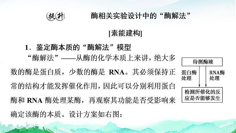 苏教版高中生物必修1第3章第1节素能提升课酶的相关实验设计和分析课件02