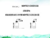 苏教版高中生物必修1第3章第4节素能提升课光合作用和细胞呼吸的相关实验课件