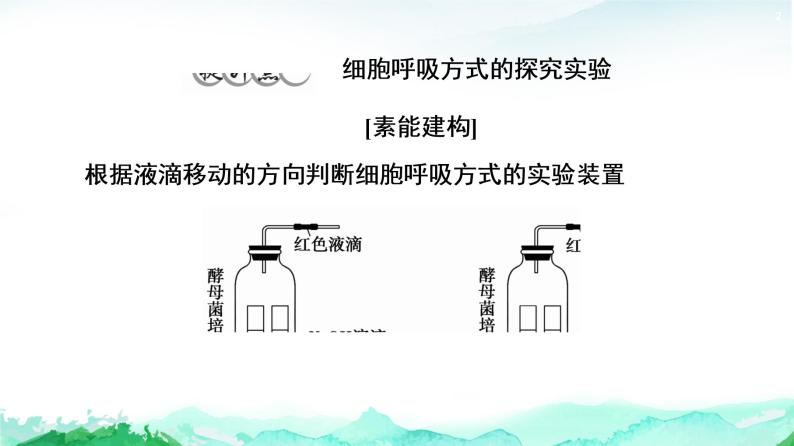 苏教版高中生物必修1第3章第4节素能提升课光合作用和细胞呼吸的相关实验课件02