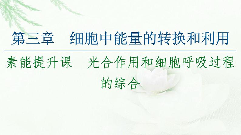 苏教版高中生物必修1第3章第4节素能提升课光合作用和细胞呼吸过程的综合课件01