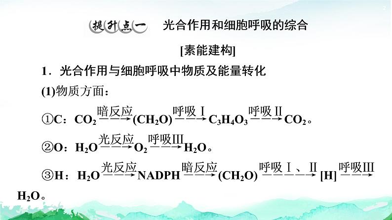 苏教版高中生物必修1第3章第4节素能提升课光合作用和细胞呼吸过程的综合课件02